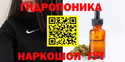 прущие крисы Партизанск