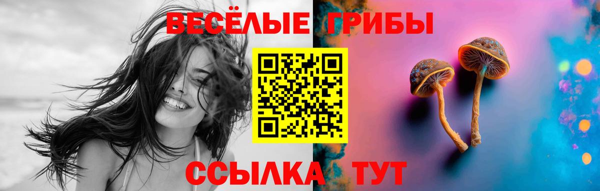 Соликамск  Псилоцибиновые грибы Magic Shrooms  Вход с VPN 